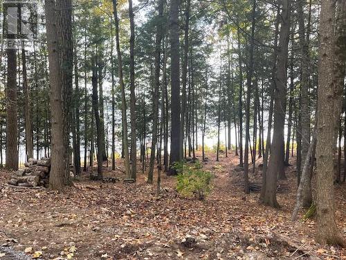 0 Hwy 35, Algonquin Highlands (Stanhope), ON 