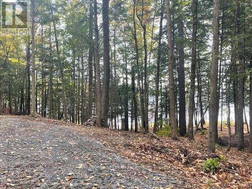 0 Hwy 35, Algonquin Highlands (Stanhope), ON 