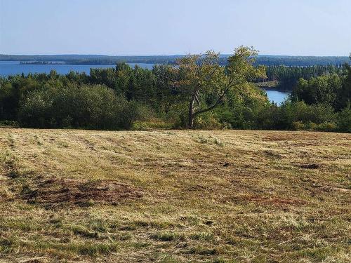 39 Walkerville Road, Walkerville, NS 