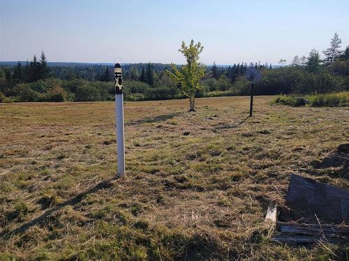 39 Walkerville Road, Walkerville, NS 