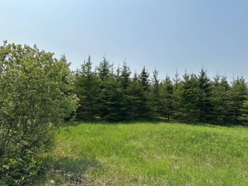 Lot - Ch. De La Rivière-Fraser, Latulipe-Et-Gaboury, QC 