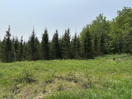 Lot - Ch. De La Rivière-Fraser, Latulipe-Et-Gaboury, QC 