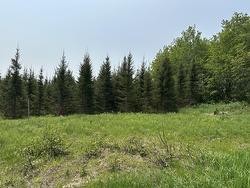 Ch. de la Rivière-Fraser  Latulipe-Et-Gaboury, QC J0Z 2N0