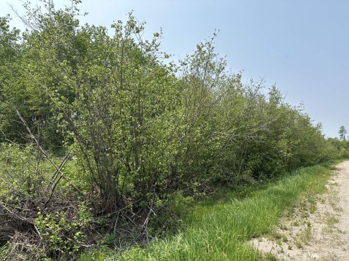 Lot - Ch. De La Rivière-Fraser, Latulipe-Et-Gaboury, QC 