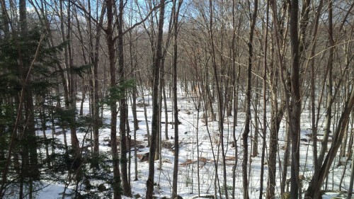 Lot - Rue Du Lac-Raymond, Saint-Calixte, QC 