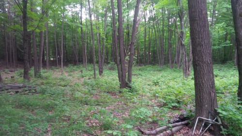 Lot - Rue Du Lac-Raymond, Saint-Calixte, QC 