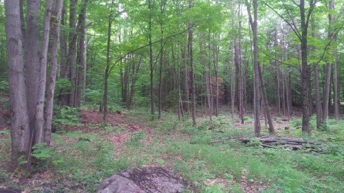 Lot - Rue Du Lac-Raymond, Saint-Calixte, QC 