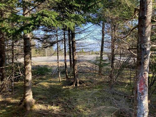 Lot 21-8 Mary Cecelia Ridge, St Andrew'S, NS 