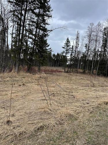 109013 Pth 10 Highway, Onanole, MB 