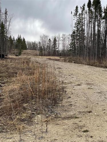 109013 Pth 10 Highway, Onanole, MB 