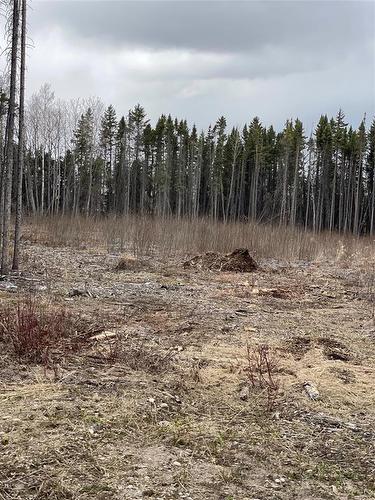 109013 Pth 10 Highway, Onanole, MB 