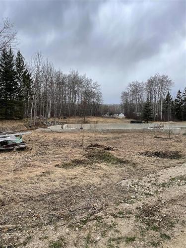 109013 Pth 10 Highway, Onanole, MB 