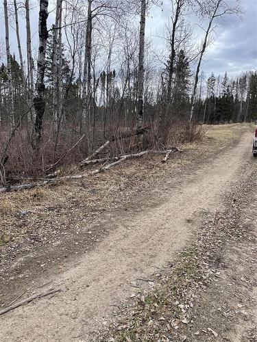 109013 Pth 10 Highway, Onanole, MB 