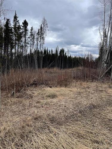 109013 Pth 10 Highway, Onanole, MB 