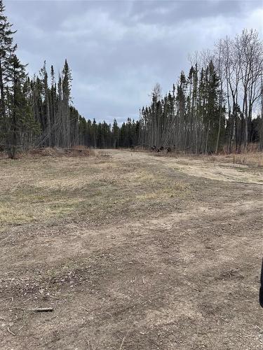 109013 Pth 10 Highway, Onanole, MB 