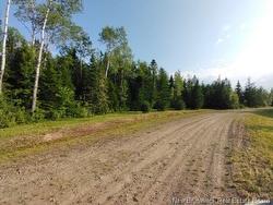 Lot-15-3 Route 134  Sainte-Anne-De-Kent, NB E4S 1E7