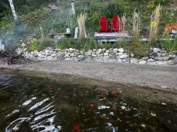 Bord de l'eau - 
