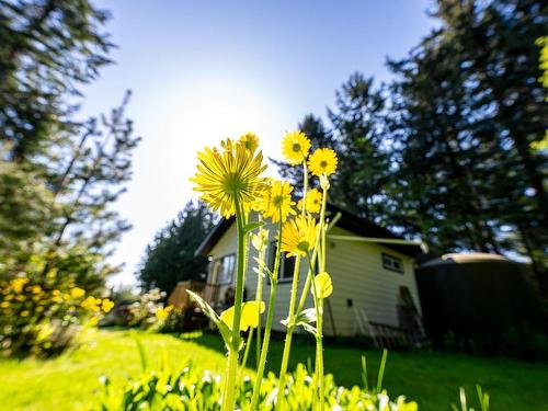 1495 Baikie Rd, Denman Island, BC 