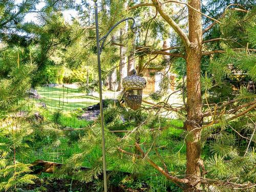 1495 Baikie Rd, Denman Island, BC 