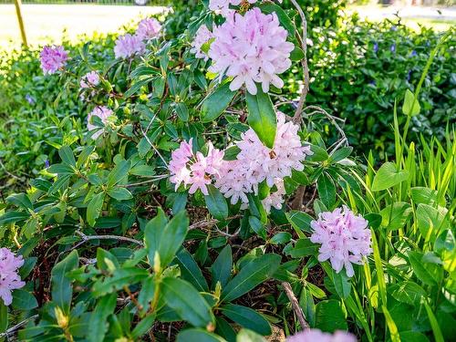 1495 Baikie Rd, Denman Island, BC 