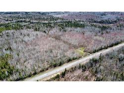 Lot Route 490  Champ Dore, NB E4T 3H3