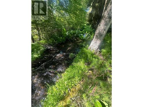 7047 Harrop-Procter Road, Harrop, BC - Outdoor