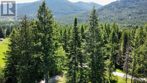 7047 Harrop-Procter Road, Harrop, BC - Outdoor With View