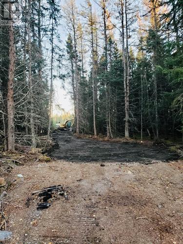 43 Sandy Point Road, Norris Arm, NL 