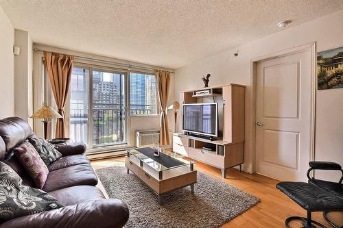 Salon - 624-1225 Rue Notre-Dame O., Montréal (Ville-Marie), QC - Indoor Photo Showing Living Room