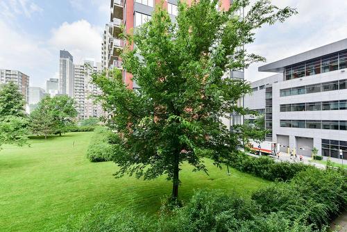 Jardin - 624-1225 Rue Notre-Dame O., Montréal (Ville-Marie), QC - Outdoor