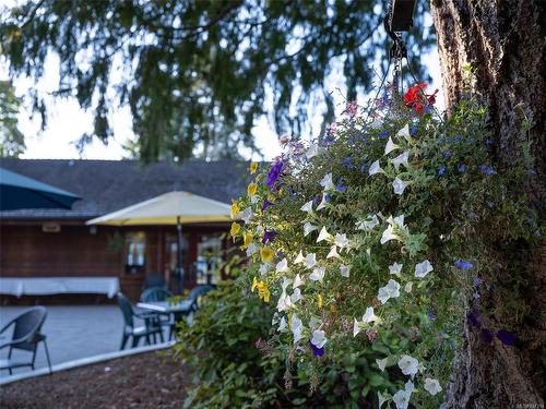 840 Cherry Point Rd, Cobble Hill, BC 