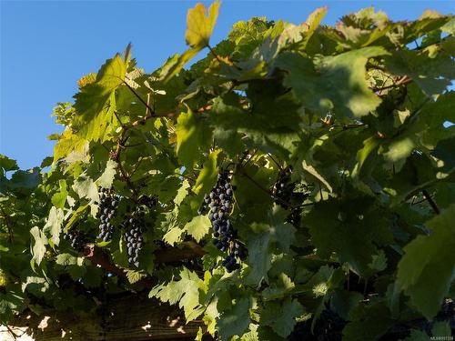 840 Cherry Point Rd, Cobble Hill, BC 