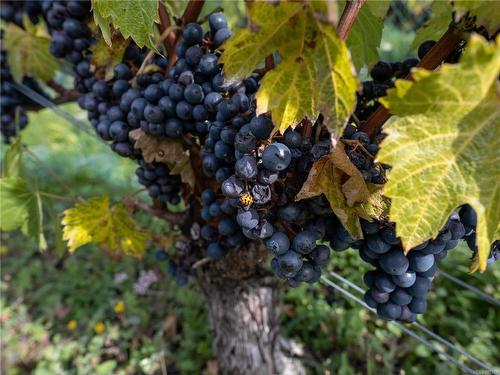 840 Cherry Point Rd, Cobble Hill, BC 