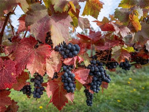 840 Cherry Point Rd, Cobble Hill, BC 