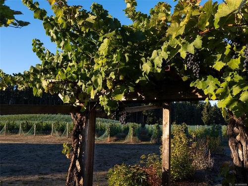 840 Cherry Point Rd, Cobble Hill, BC 