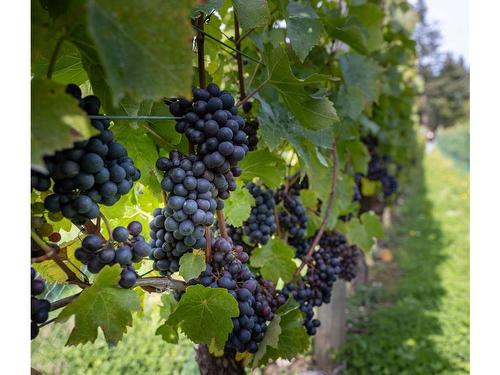 840 Cherry Point Rd, Cobble Hill, BC 