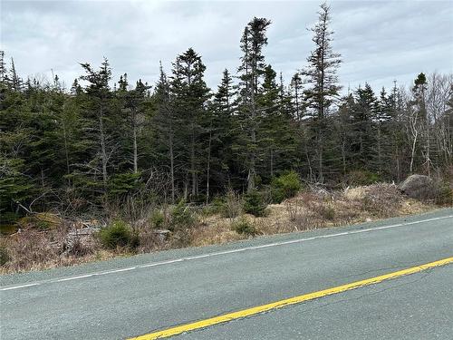 106 Liam Hickey Drive, Holyrood, NL 