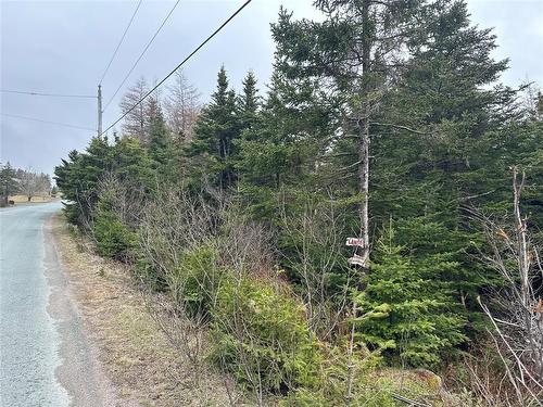 54 Ridge Road, Holyrood, NL 