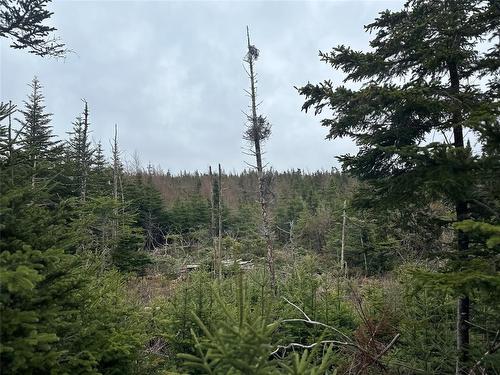 54 Ridge Road, Holyrood, NL 