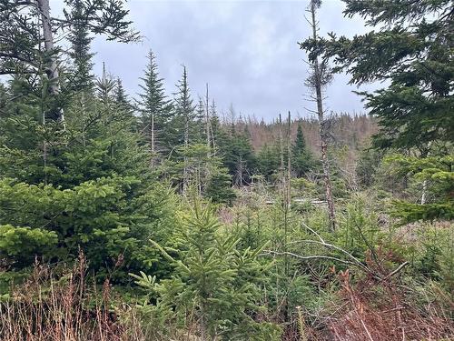 54 Ridge Road, Holyrood, NL 