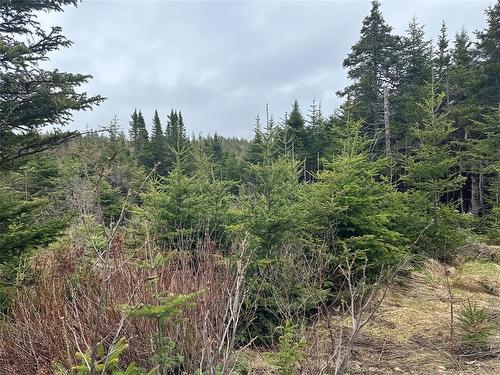 54 Ridge Road, Holyrood, NL 