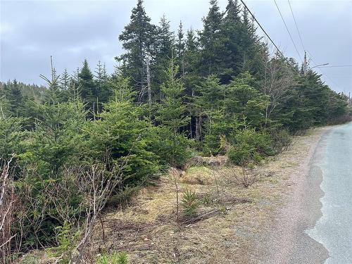 54 Ridge Road, Holyrood, NL 