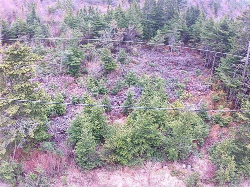 54 Ridge Road, Holyrood, NL 