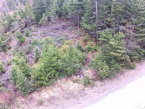 54 Ridge Road, Holyrood, NL 