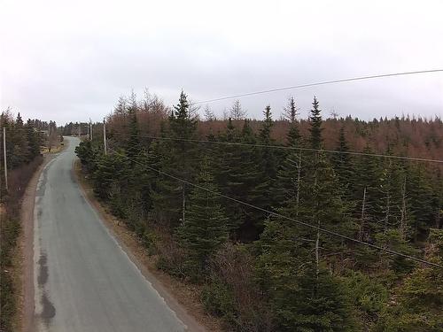 54 Ridge Road, Holyrood, NL 