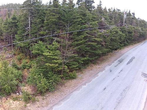 54 Ridge Road, Holyrood, NL 