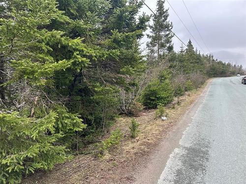 54 Ridge Road, Holyrood, NL 