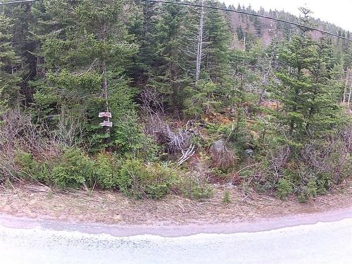 54 Ridge Road, Holyrood, NL 