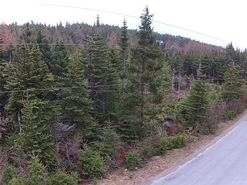 54 Ridge Road, Holyrood, NL 