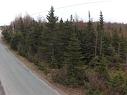 54 Ridge Road, Holyrood, NL 